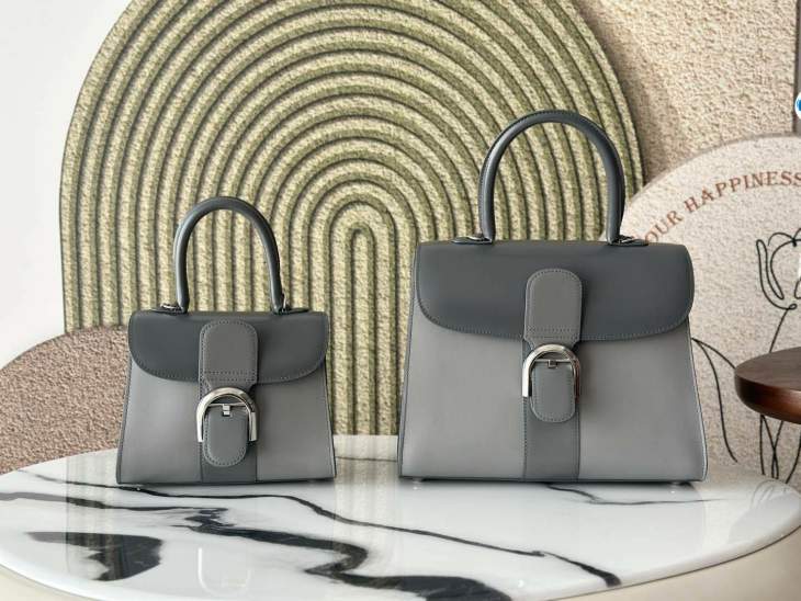 Picture of Delvaux Handbags _SKUfw197174283fw